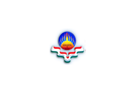 Sun College Of Engineering And Technology Logo